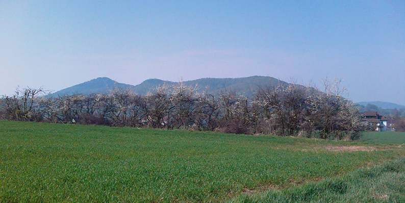 Region